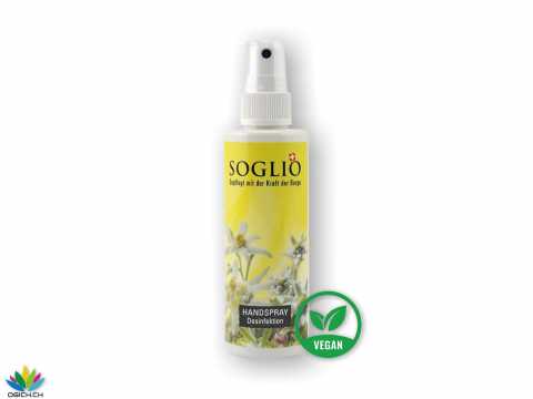 Handspray 100ml Sprayflasche