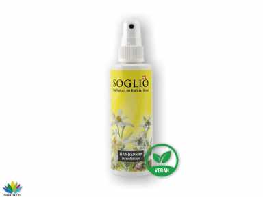 Handspray 100ml Sprayflasche